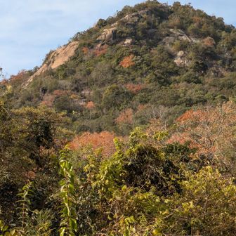 何度も見上げては
チャンスがあればまた来るねと心の中でつぶやく