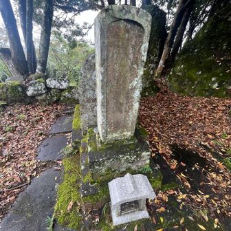 奥にはご夫人のお墓