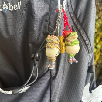おつかれ山🐸