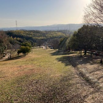 鴻ノ巣山運動公園展望広場から