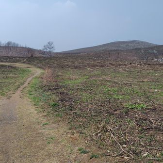 おー、きれいに焼けてますな。

ちなみにけがをした理由を簡単にいうと、スノーボードでジャンプ失敗して腰から落ちました。
飛ぶ前に一度飛ばずにキッカーの状況を確認してから飛ぶ、という基本のキを怠りました。