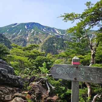 まだまだ遠い
