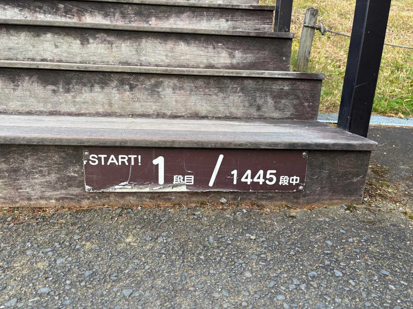 スタート▶️