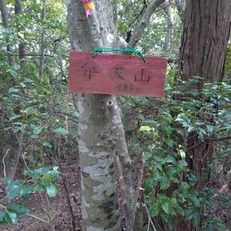 弁天山⛰️山頂🚩
残念ながら眺望はなし😢