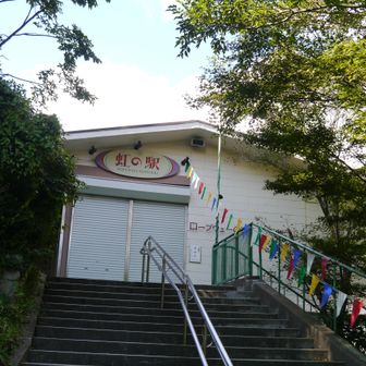 今日はお休み