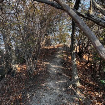 33　馬木の嶺　104.3m
No.21（馬木嶺）