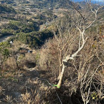 祠まで15m,手前のロープ使って降りればみれるのかも。