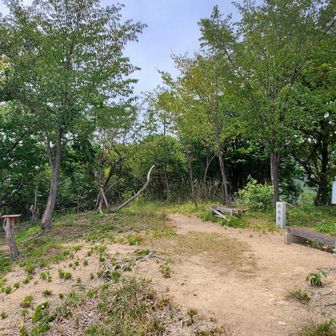 ここが一番涼しかった🍃山崎山
