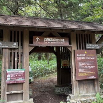 下山😮‍💨