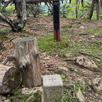 弁天の森ピーク三角点
