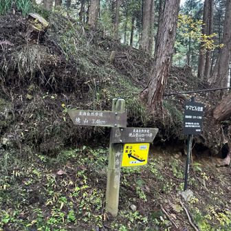 ここなぜか見落としたw