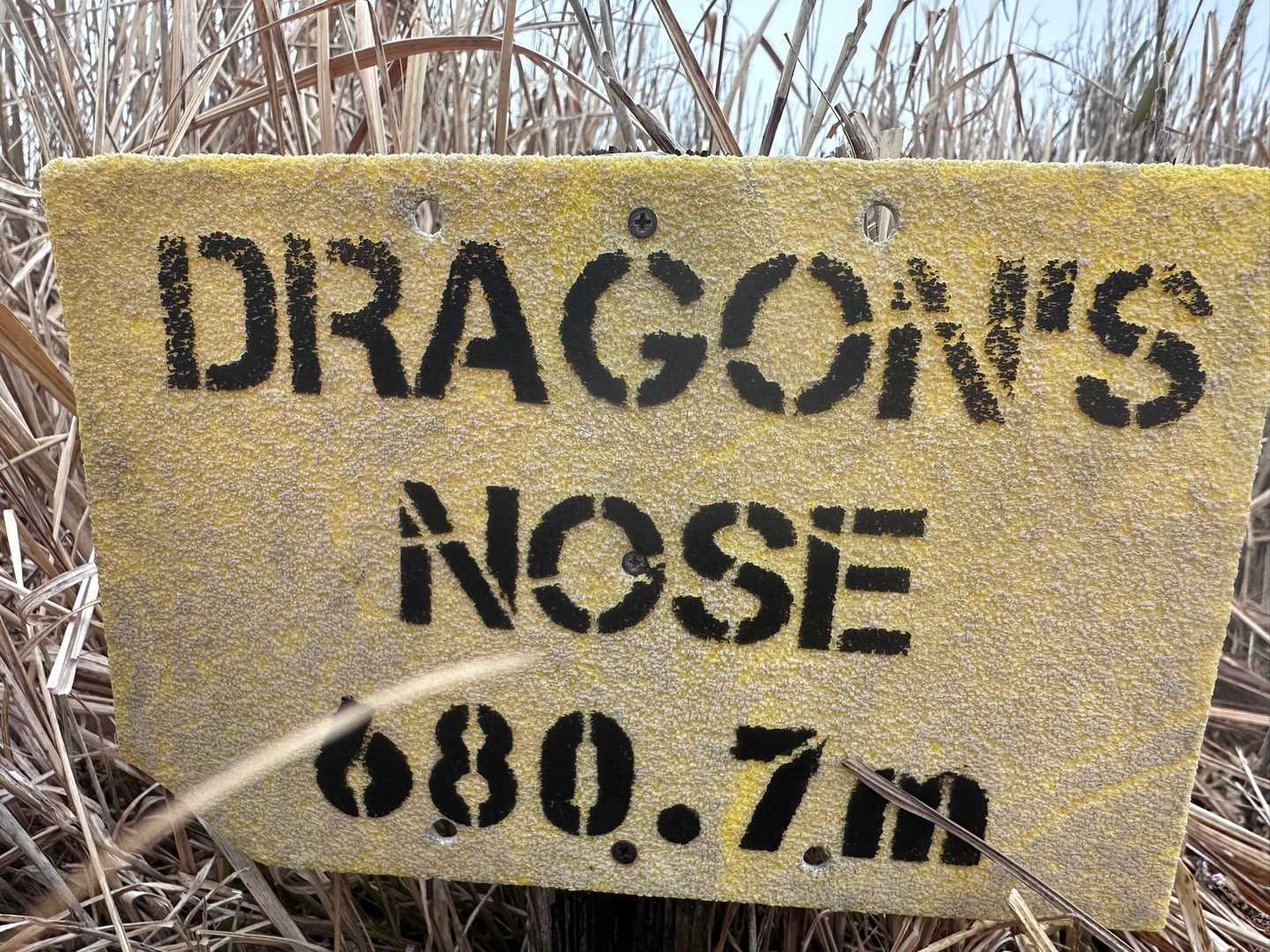 竜ヶ鼻 周回コースの写真