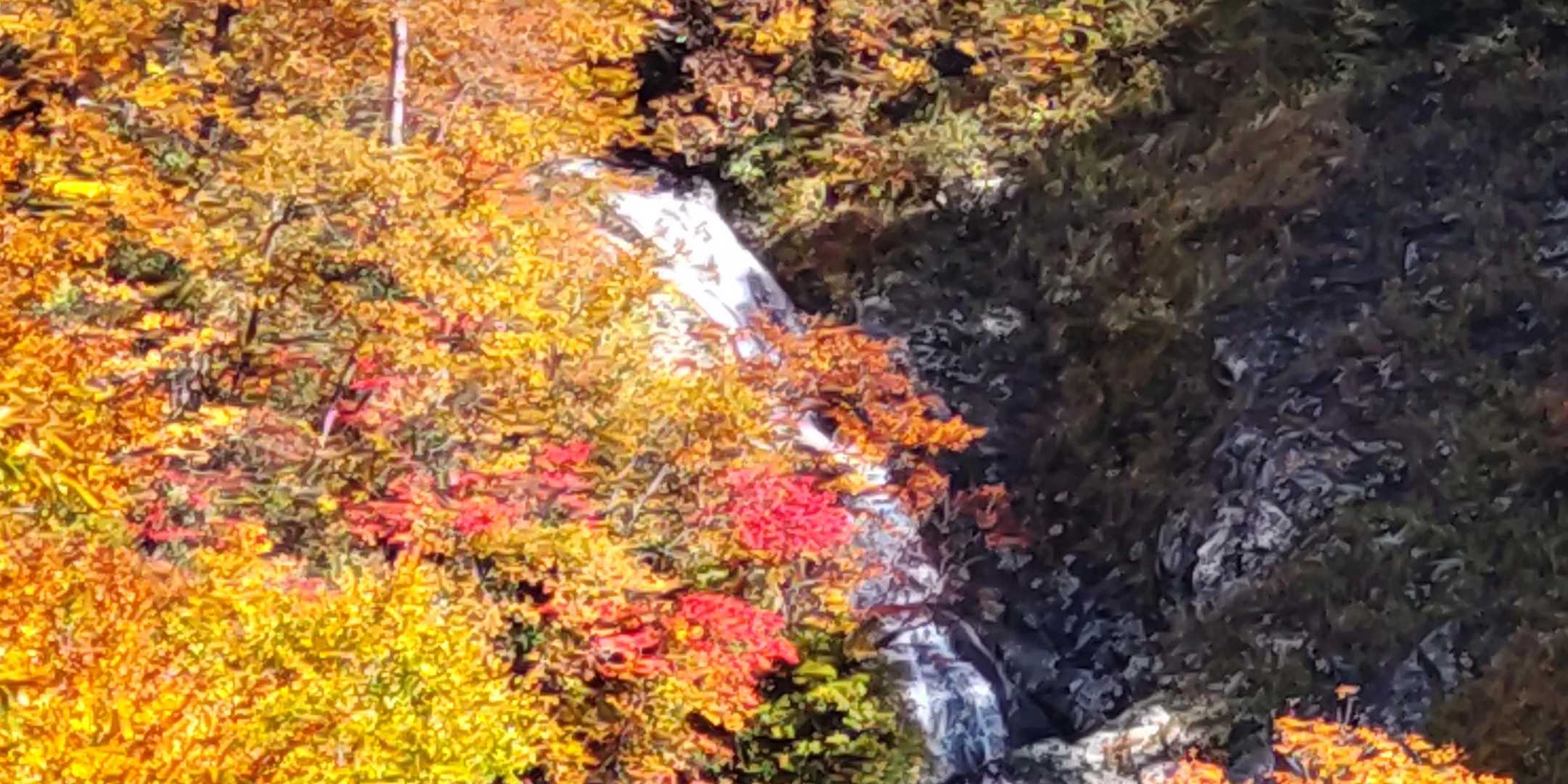 滝💦と紅葉🍁