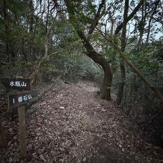 YAMAP未記載ルートで下ります♪