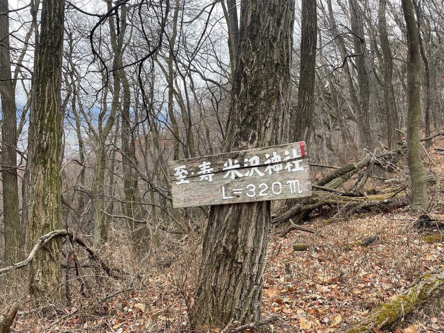 米澤神社への分岐🪧
前から気になってたんだよね。ただ戻っても面白くないし、行くか🏃🏻‍♀️