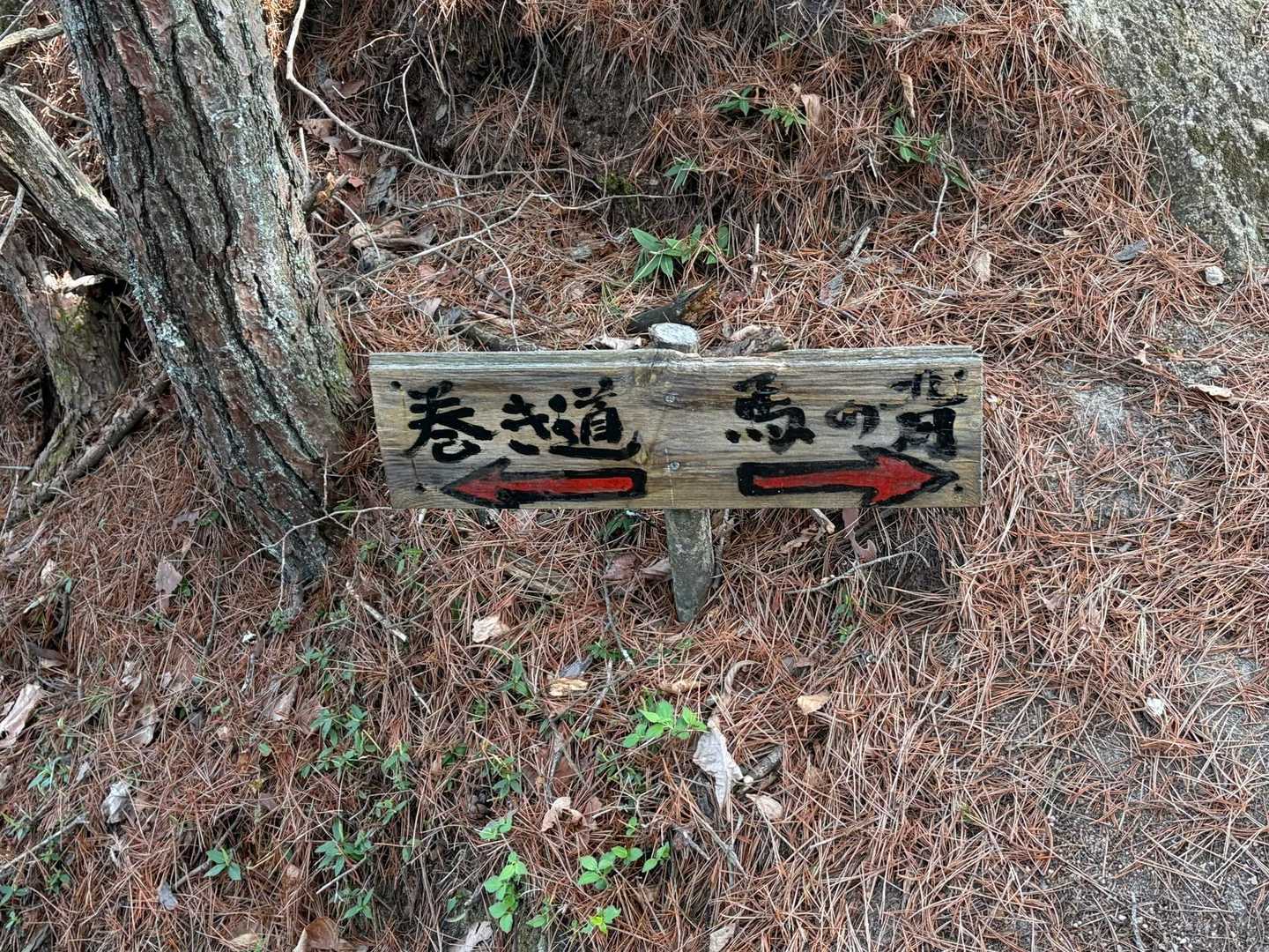 　　　　　　　　馬の背へ😆