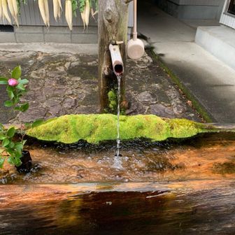 きれいな湧き水