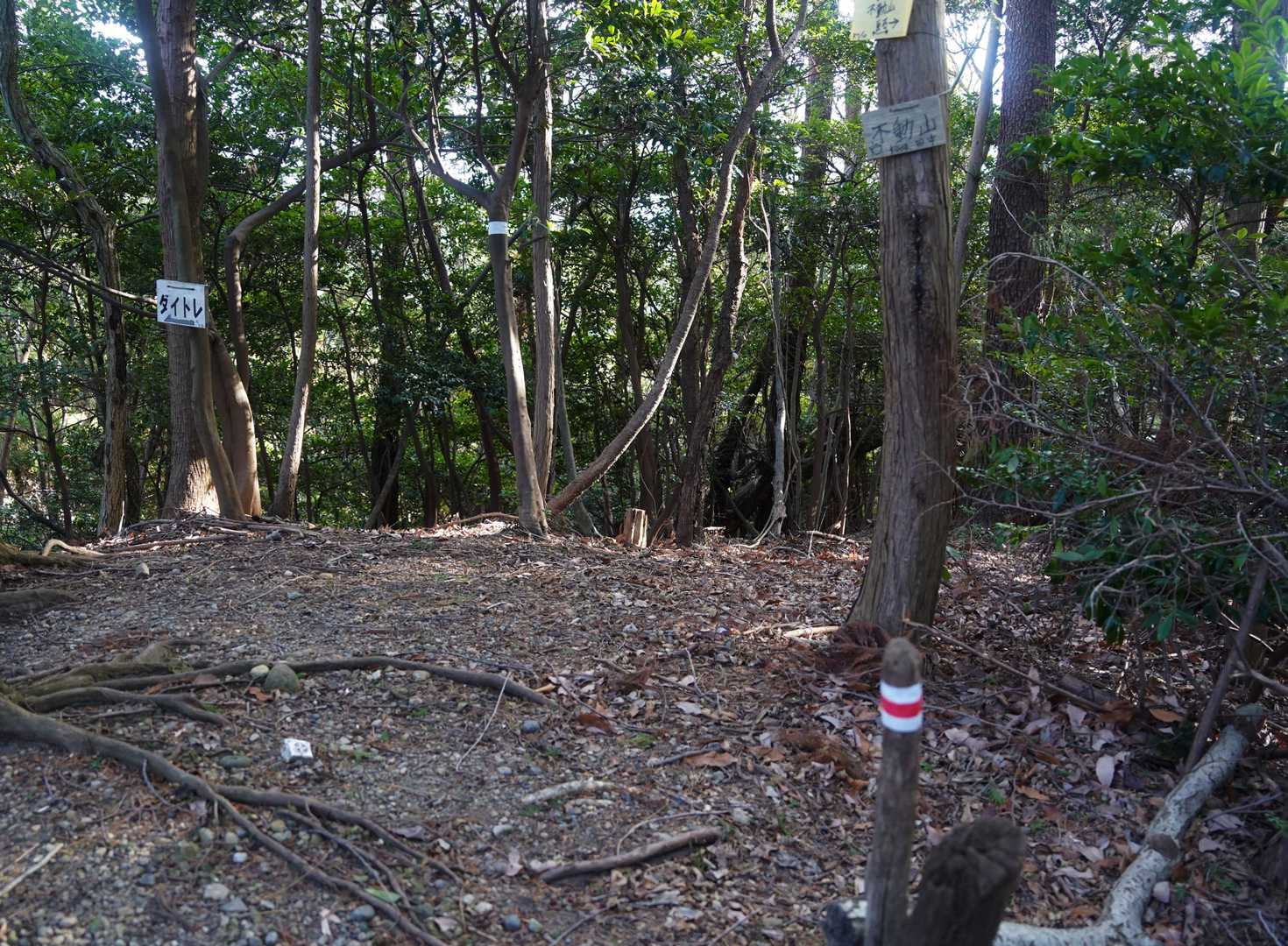 不動山　山頂