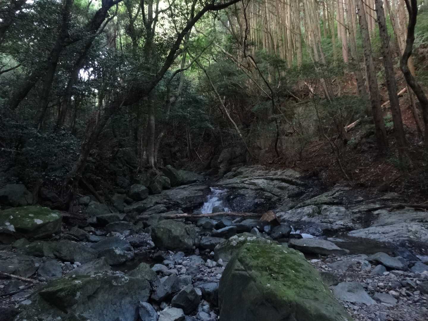 しかし一旦中に入ると広い空間が広がって涼しい
