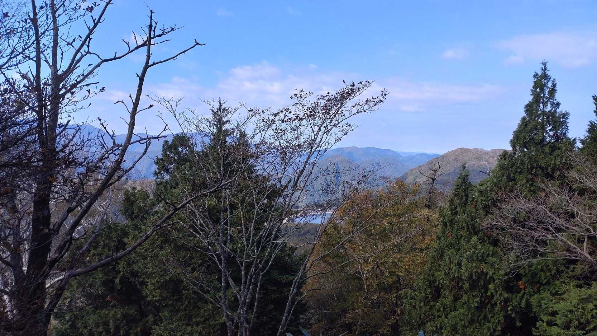 朝は曇り空でしたが、いつの間にか晴れて良いお天気。
それと同時に気温も上昇でTシャツ姿に逆戻り😆