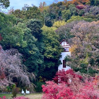 反対側に山と🐏