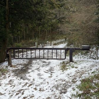 雪が降って、行きと帰りとでは景色が変わりました😆