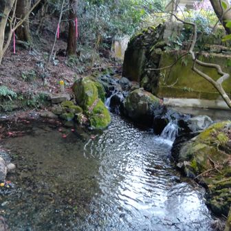 赤テープ もしか鏡山からショートカット出来たかも？？
無事帰りましたとさ。。