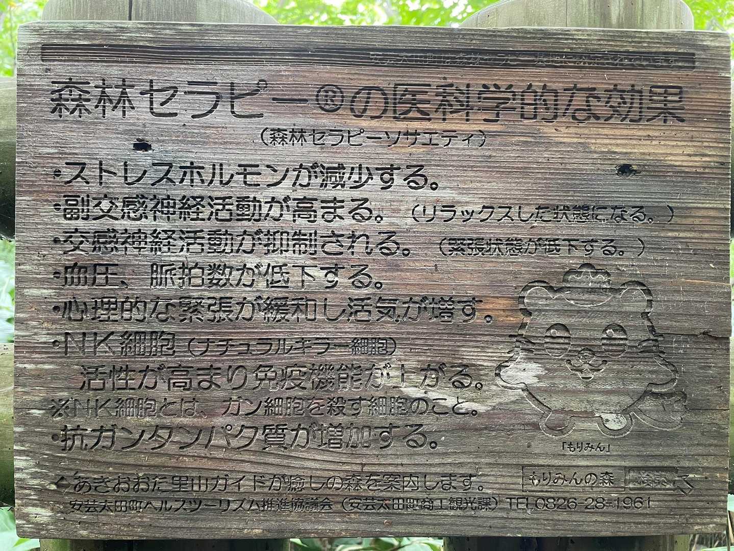 ❗️
森を歩くと抗がんタンパク質が増えるそうです♪
