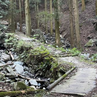 まだまだ長いですがゆっくり行きます
ゆっくり行くとアブ🪰が集まってきます