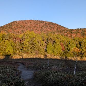 🍁ズームしてみました🔍️🥰