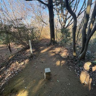 三角点は山頂広場よりも一段高い場所にあります⛰️
以前は山名板もありましたが無くなっていました
