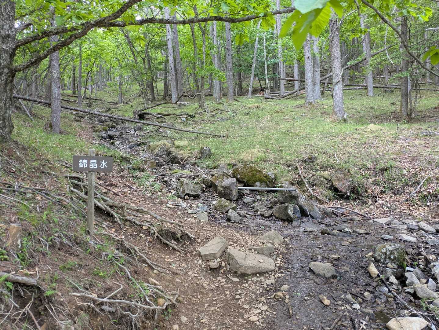 こちらの登山口は初めて⋯と思ったら、以前来た時の帰りのルートだったみたい😅
前過ぎて、忘れてました💦