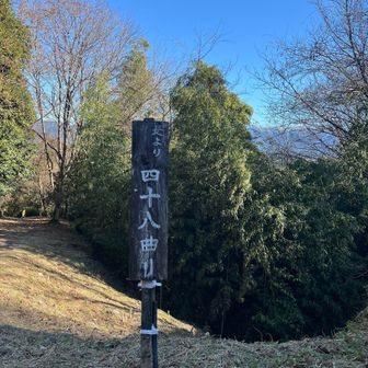 帰りもこの道を使いますが、48あったかなぁ…