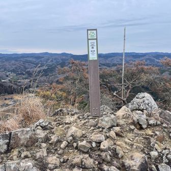 天使は、居ない模様、、