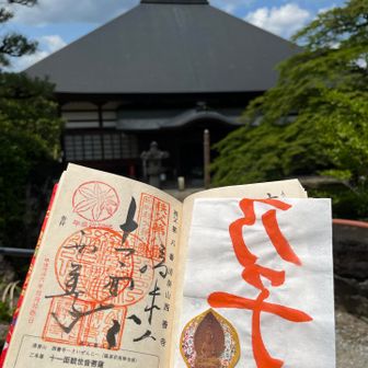 札所8番、西善寺。樹齢600年の大木、コミネモミジは県指定天然記念物。青紅葉の木陰が涼しげ。アプリ枚数制限で載せられませんでしたが美しい✨