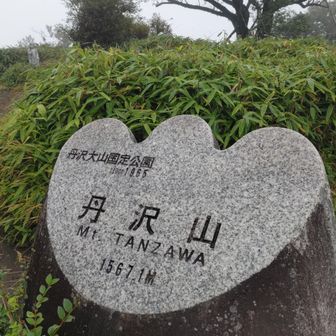 みやま山荘周辺も綺麗に整備されてました