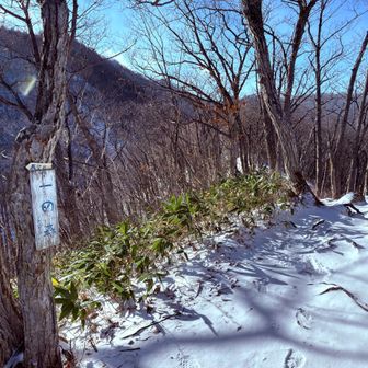 さすがに一の森からはチェンスパ付けました