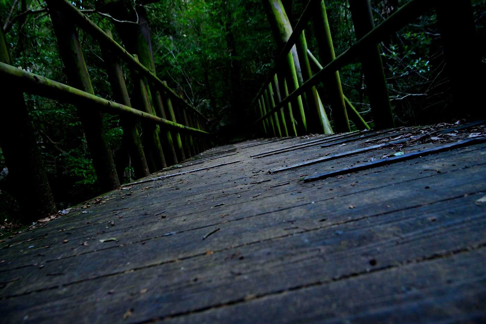 凝った作りの橋