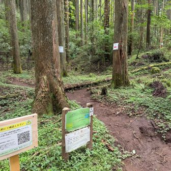 登山口。
正確には登山口入口。