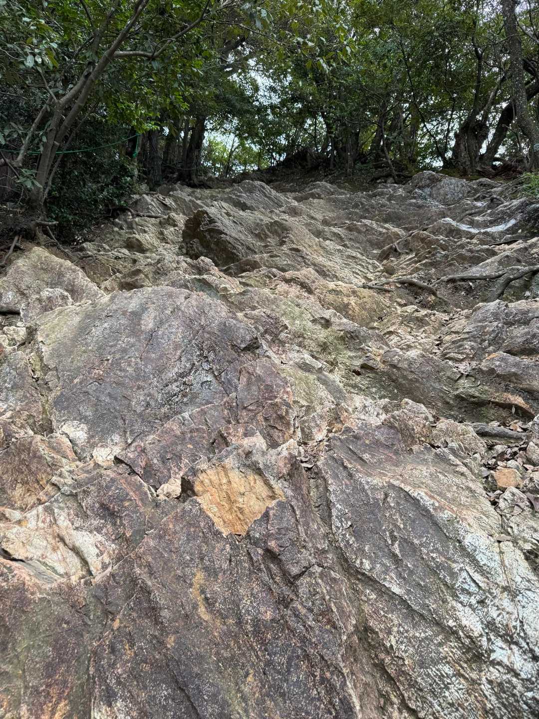 水手道（めい想の小径）-金華山-百曲り登山道 縦走コースの写真