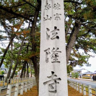 お疲れさん
馴染みのない街を巡るRUNもお気に入りになってきたかな…
もちろん山からの景色も好きですよ
この時期は雪山なんでしょうけどね…なかなか雪への対応ができない私達
しばらくは近くの山で工夫しながら楽しむ活動になるでしょう🕺