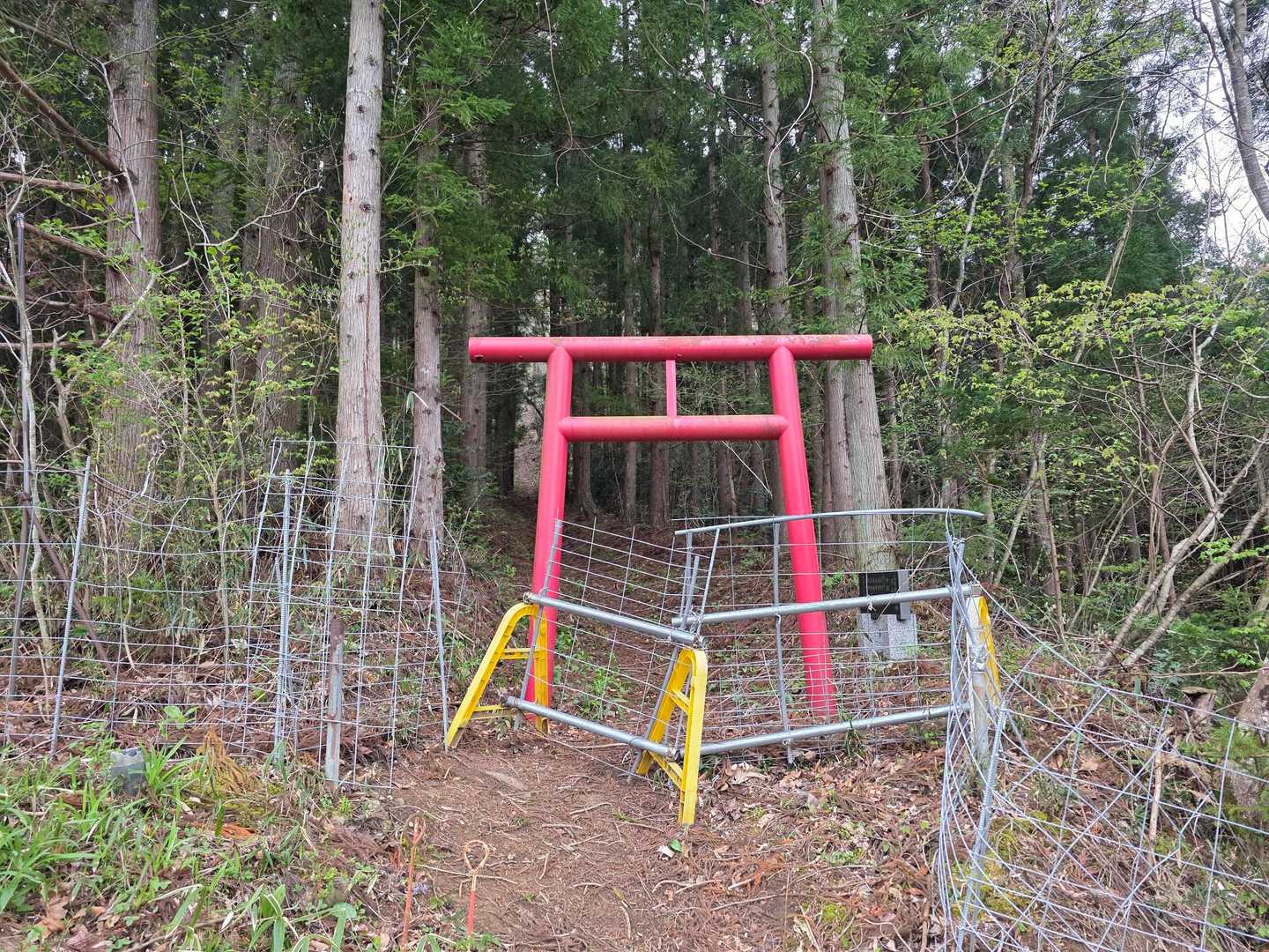何気にキツイどんがら森…
最後に歩くの嫌だよね…と2人の意見が一致😁
最初に歩いちゃおう🎶