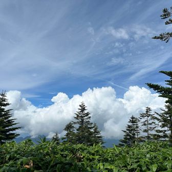 今日は暑い🥵💦
時折冷たい風に励まされながらアップダウンを繰り返すと🐾