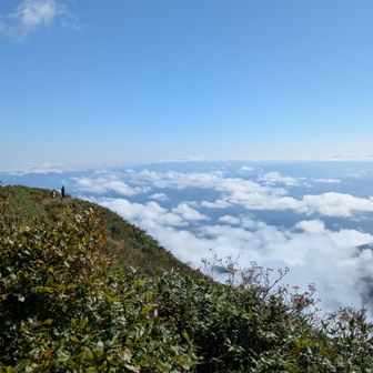 少し先まで行ってみますね!