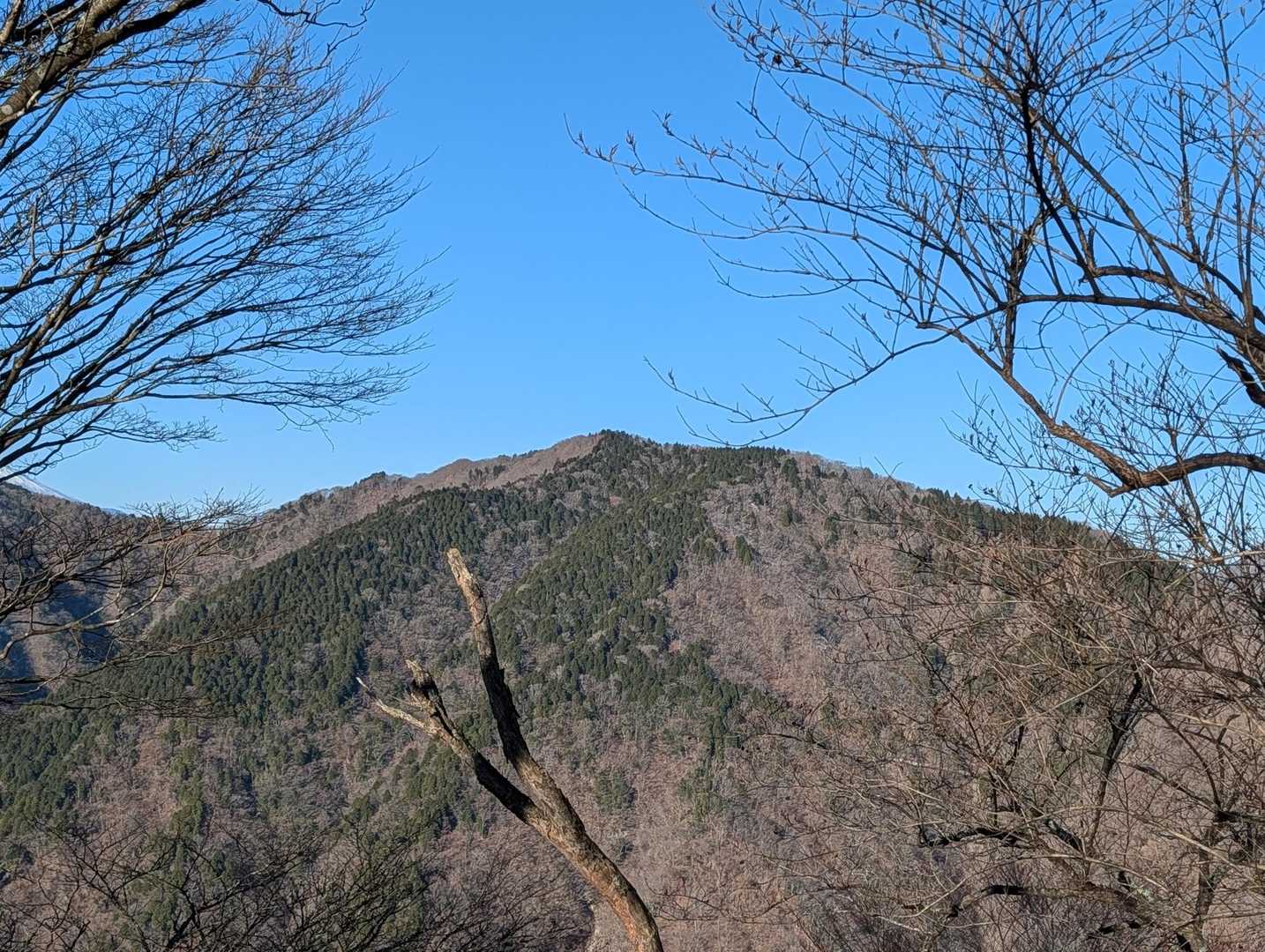 どうやらこれが鍋割山のようです。