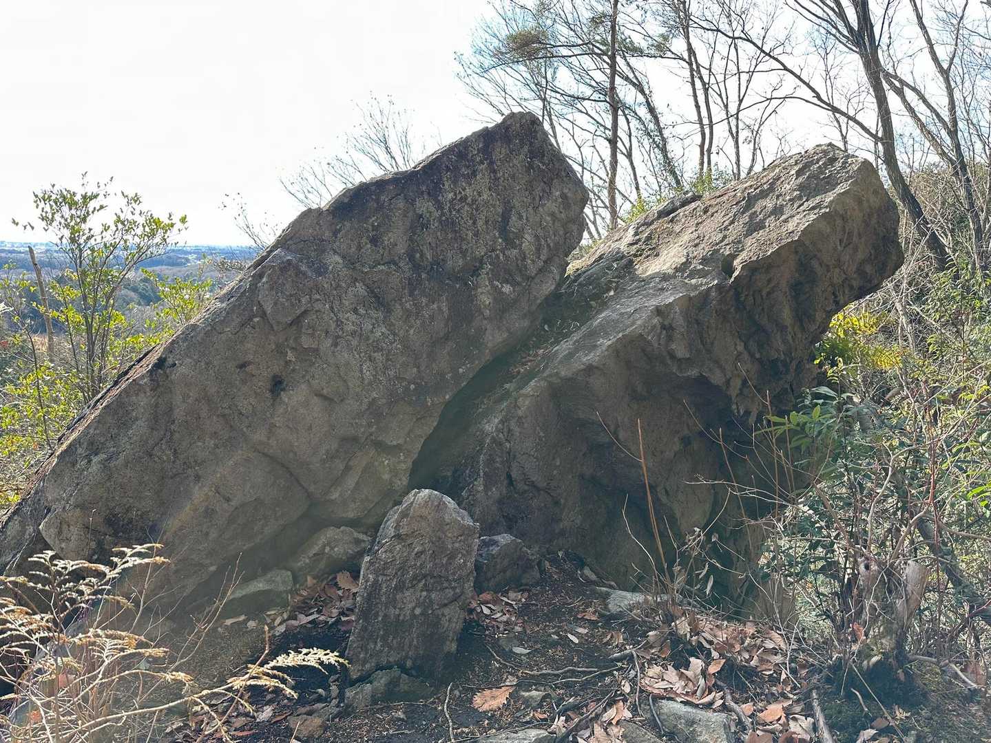 二枚岩🪨