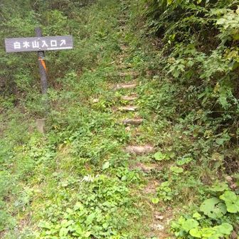 ⋯で、ついでの白木山へ