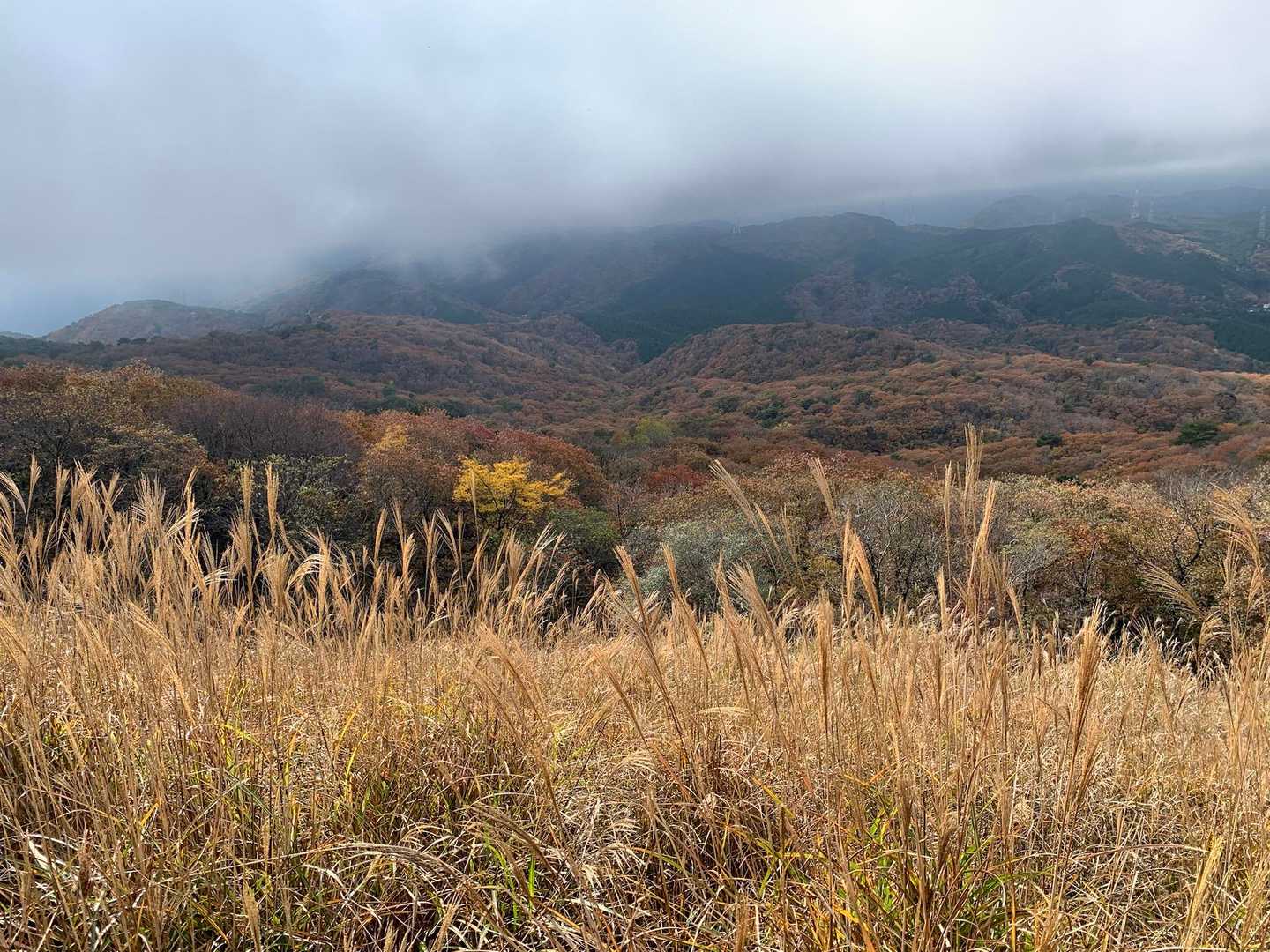舩谷山-深山 周回コースの写真