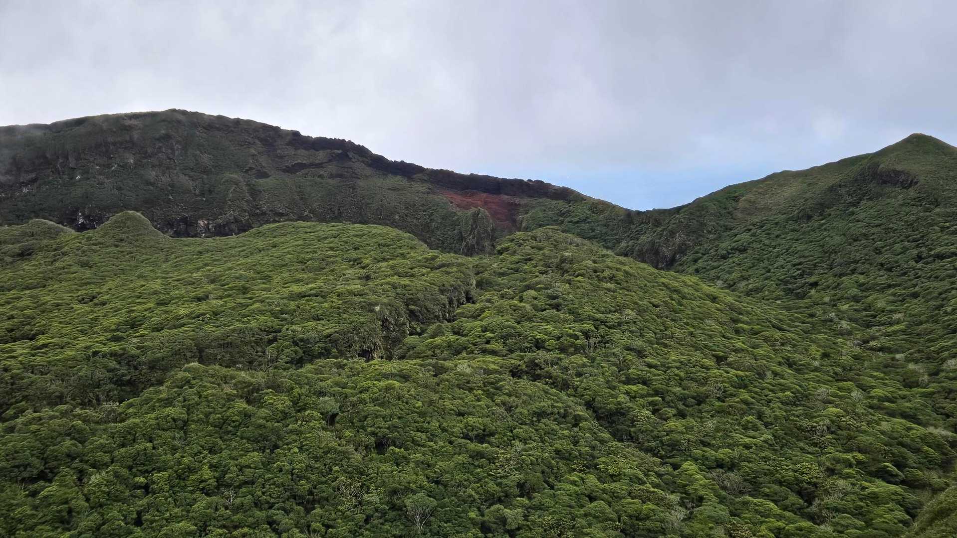 八丈富士登山口発着｜八丈富士お鉢巡りコースの写真