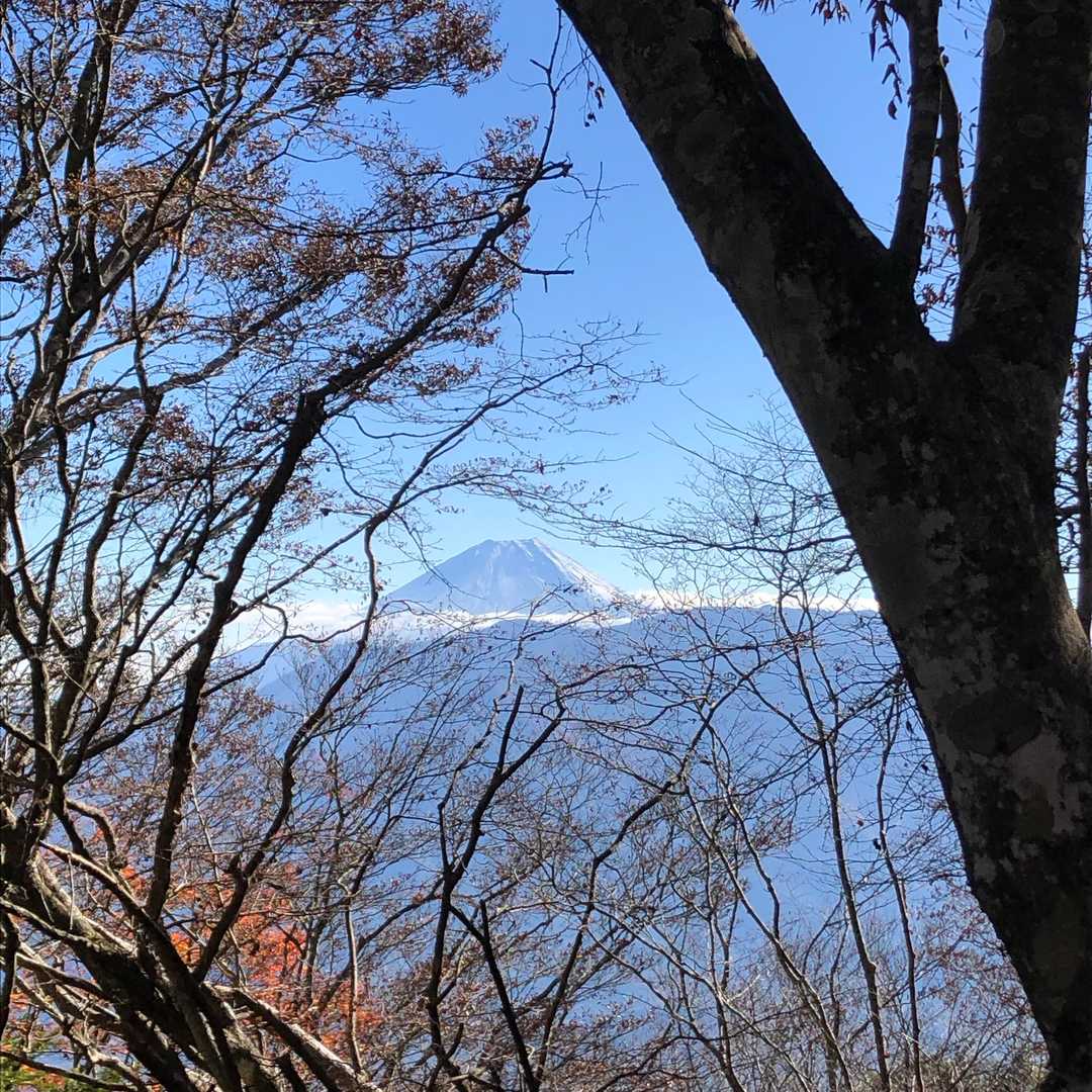 📸隙間からね🤗